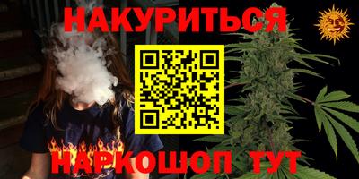 мяу мяу мука Владикавказ