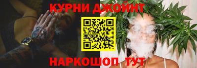 мяу мяу мука Владикавказ