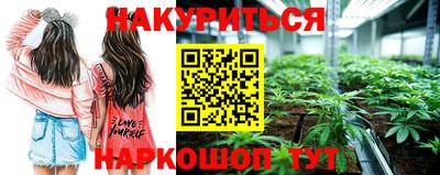мяу мяу мука Владикавказ